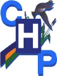 Logo : CH de Pronne